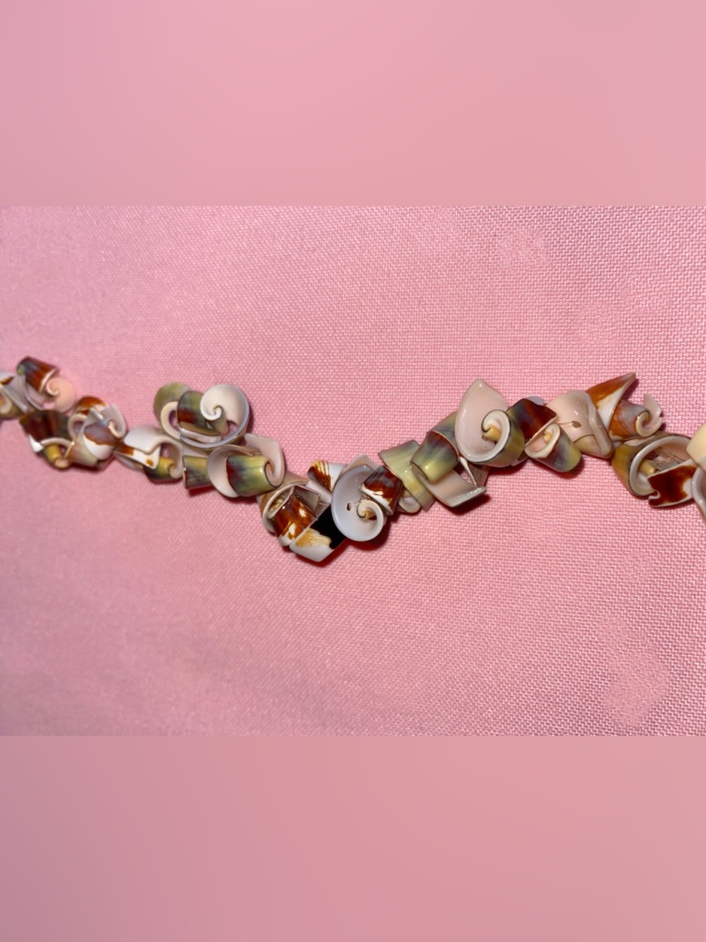 Genuine Seashell Bracelet Brown White Green Hawaii Island Mermaid Curly Conch - Picture 4 of 5